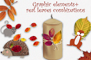 Dried Herbarium Thanksgiving leaves, an Animal Illustration by NataLyaroArt (Thumbnail 5 of 13)