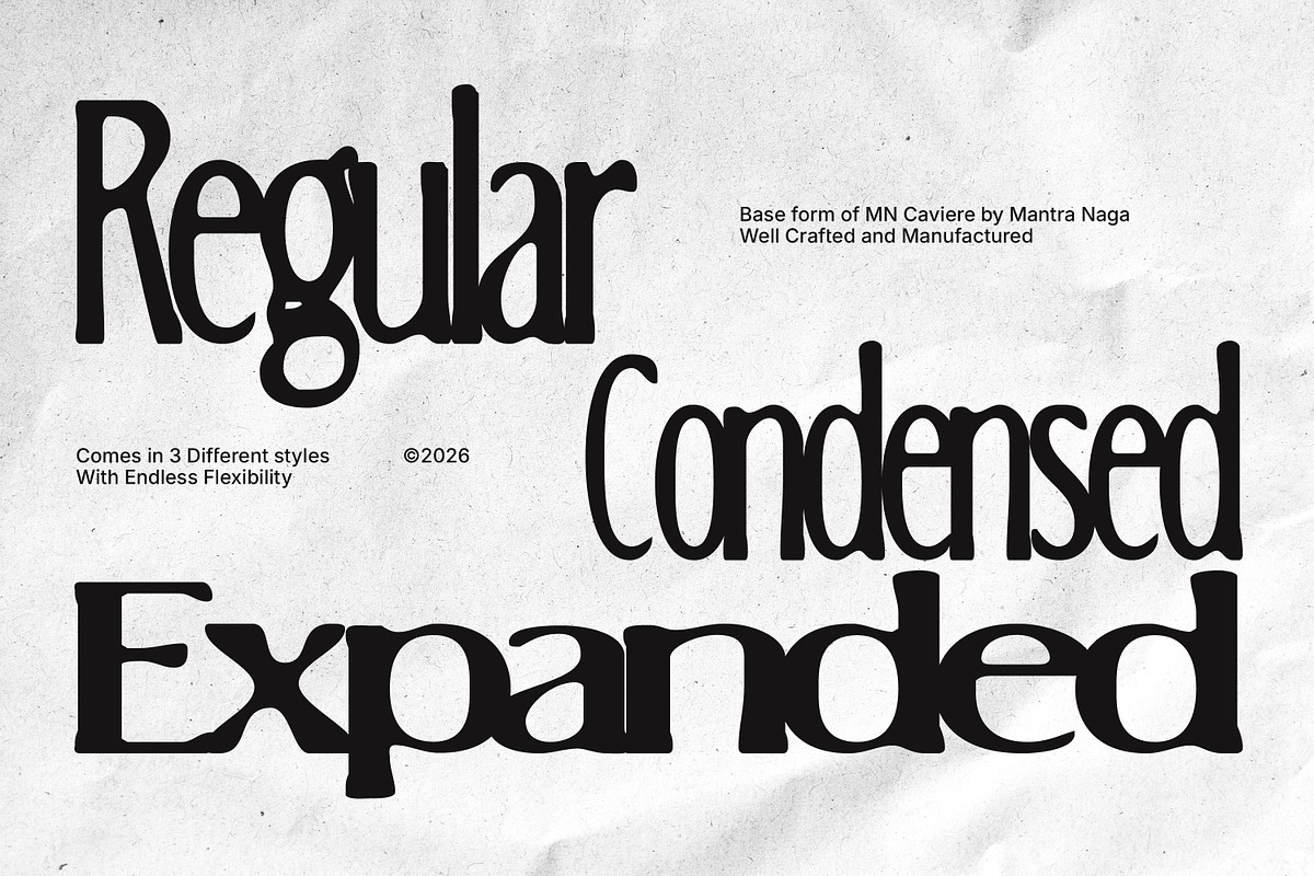 MN Caviere - Blurred Serif Typeface, a Handwritten Font by Mantra Naga (Photo 9 of 15)
