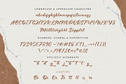 Bretally - A Handwritten Font, a Script Font by ianmikraz (Thumbnail 6 of 7)