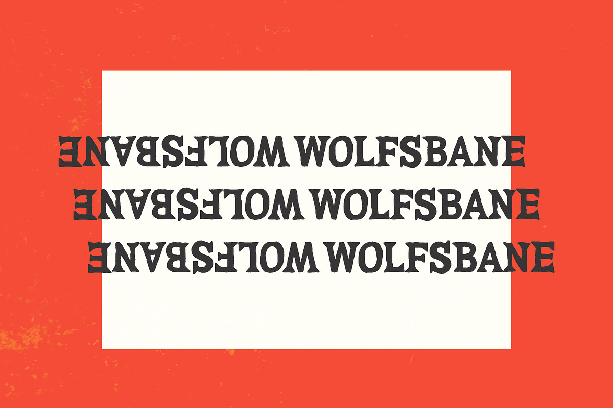WOLFSBANE, a Serif Font by Midnight Grim (Photo 6 of 6)