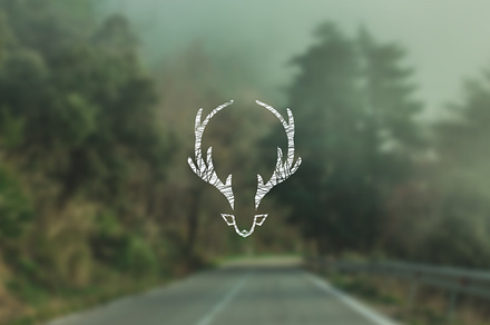 Deer Inspiration