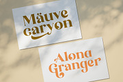 The Brande and Lotaline [UPDATED], a Serif Font by Arterfak Project (Thumbnail 6 of 15)