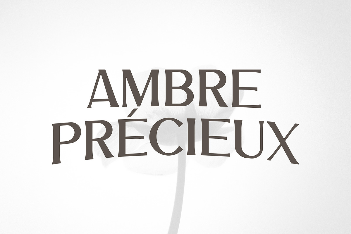 Eloran - Luxury Font, a Serif Font by Snape Design Studio (Photo 11 of 12)