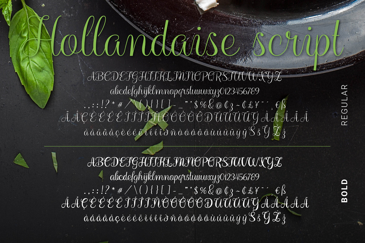 Hollandaise Script Font preview 2