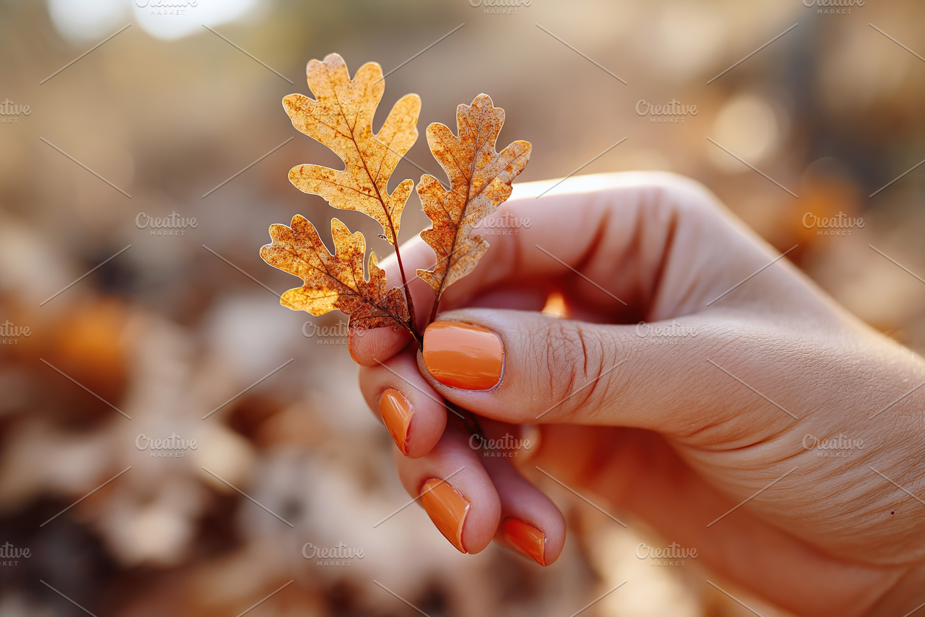 Female hand holding vibrant autumn leaves amidst fallen foliage in a serene out, a Photo by AlyaAnd