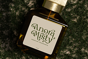 Myles Birdsie - Decorative Font, a Serif Font by Say Studio (Thumbnail 7 of 10)