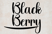 Sunday, a Handwritten Font by FreshTypeINK (Thumbnail 6 of 8)