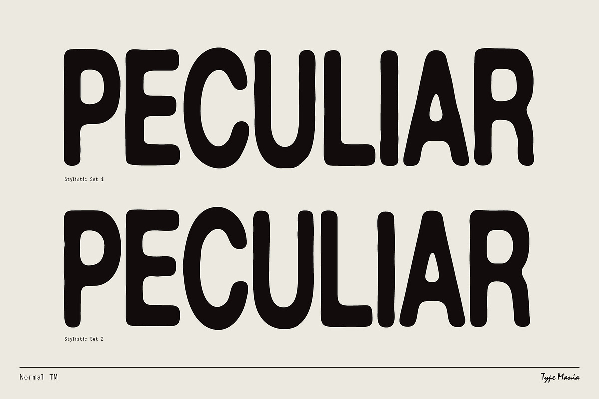 Normal TM – Gently Handled Grotesk, a Sans Serif Font by Type Mania (Photo 4 of 12)