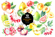 Watercolor Bundle Vector Set, a Food Illustration by Elena Pimonova (Thumbnail 11 of 13)