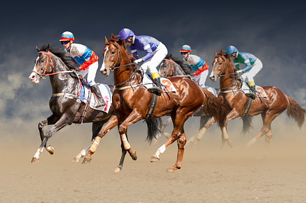 Four racing horses neck to neck in fierce competition for the finish line, a Sports & Recreation Photo by dotana.van.lee
