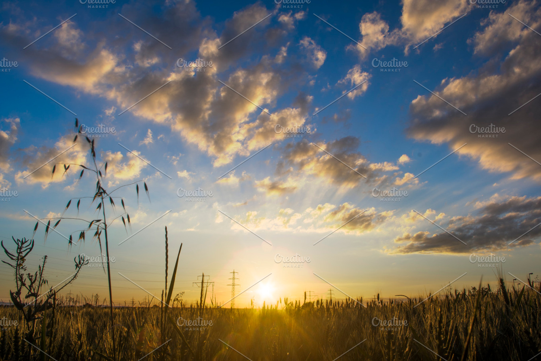 Sunset at the cornfields II, a Photo by Photo shack