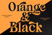 Britania Vintage, a Serif Font by Max.co Studio (Thumbnail 2 of 13)