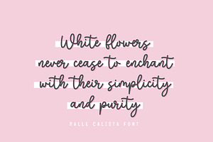 Ralle Calista - Sweet Script Font