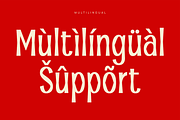 Pamelo - Bold Sans Serif Font, a Sans Serif Font by Pekotype (Thumbnail 4 of 15)