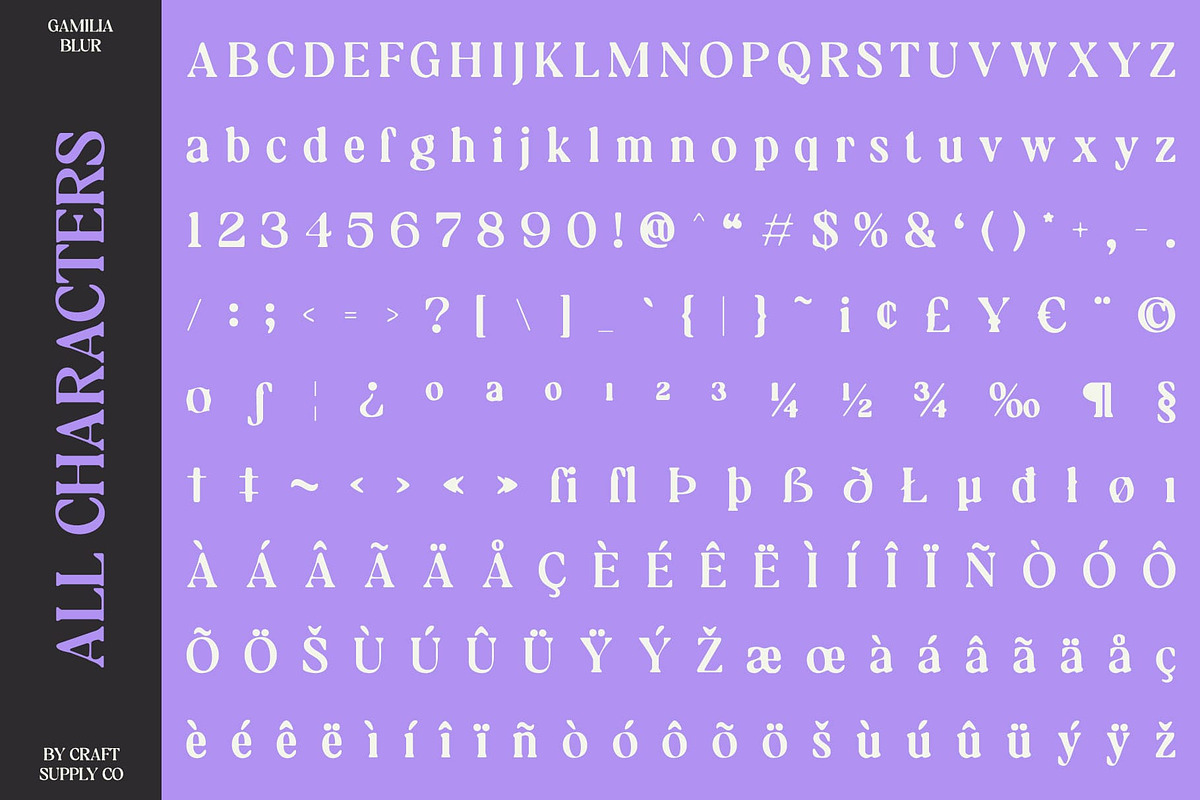 Gamilia Blur, a Serif Font by Craft Supply Co. (Photo 8 of 8)