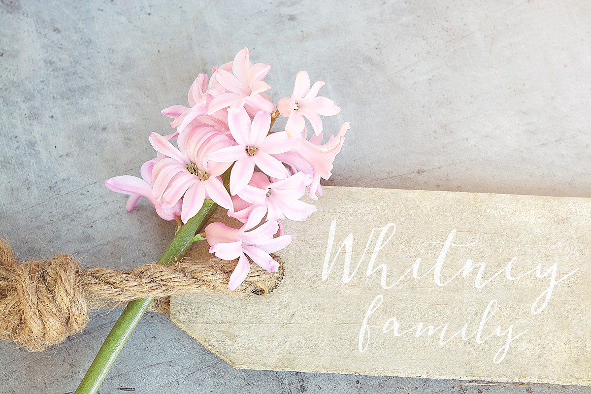 Cedrika script font preview 8
