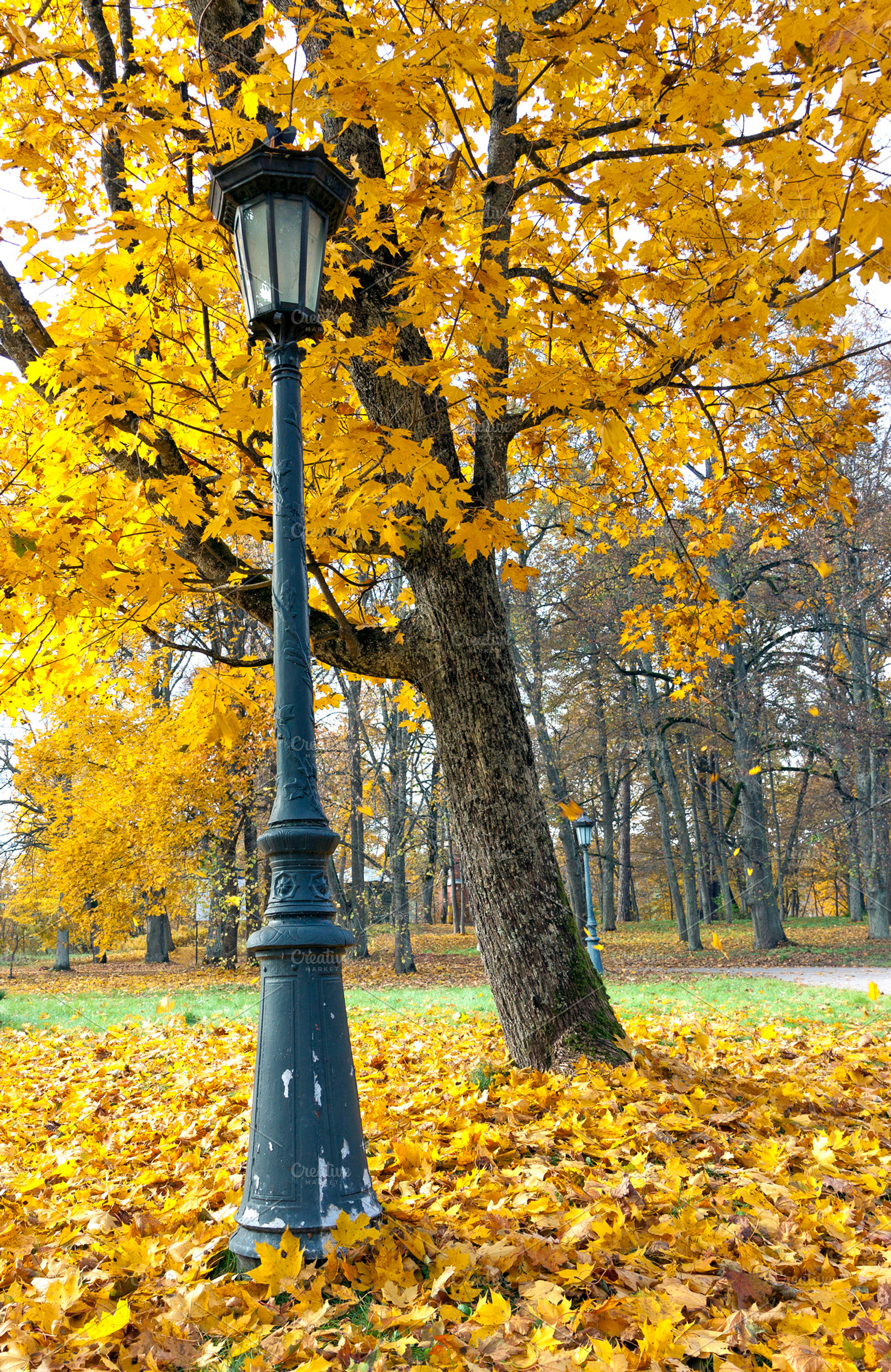 Lantern in autumn park, a Nature Photo by BOOCYS