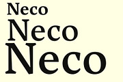 Neko Font, a Serif Font by RAHMAT (Thumbnail 5 of 5)