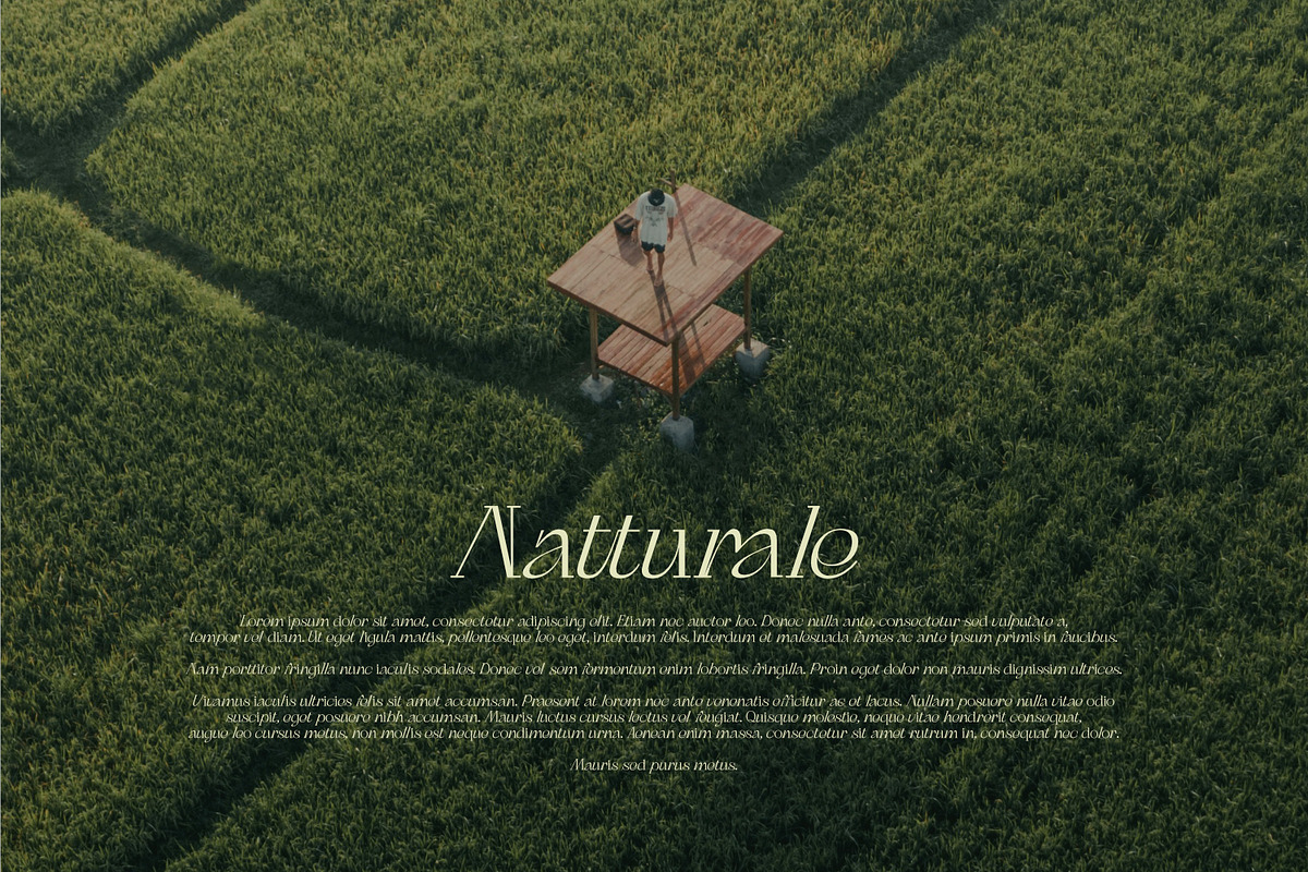 Padeline - Unique Serif, a Serif Font by Khoir (Photo 9 of 9)