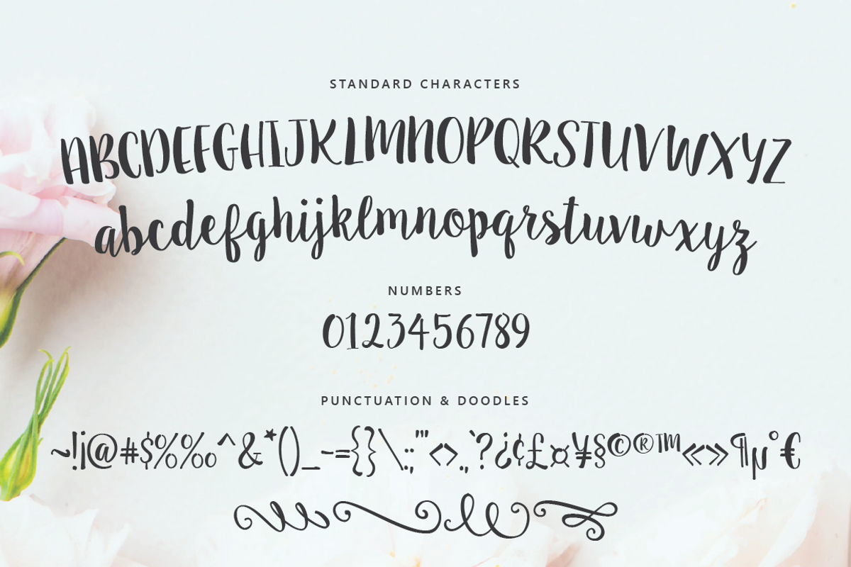 Sugar Plums Script, a Script Font by Emily Spadoni (Photo 3 of 7)