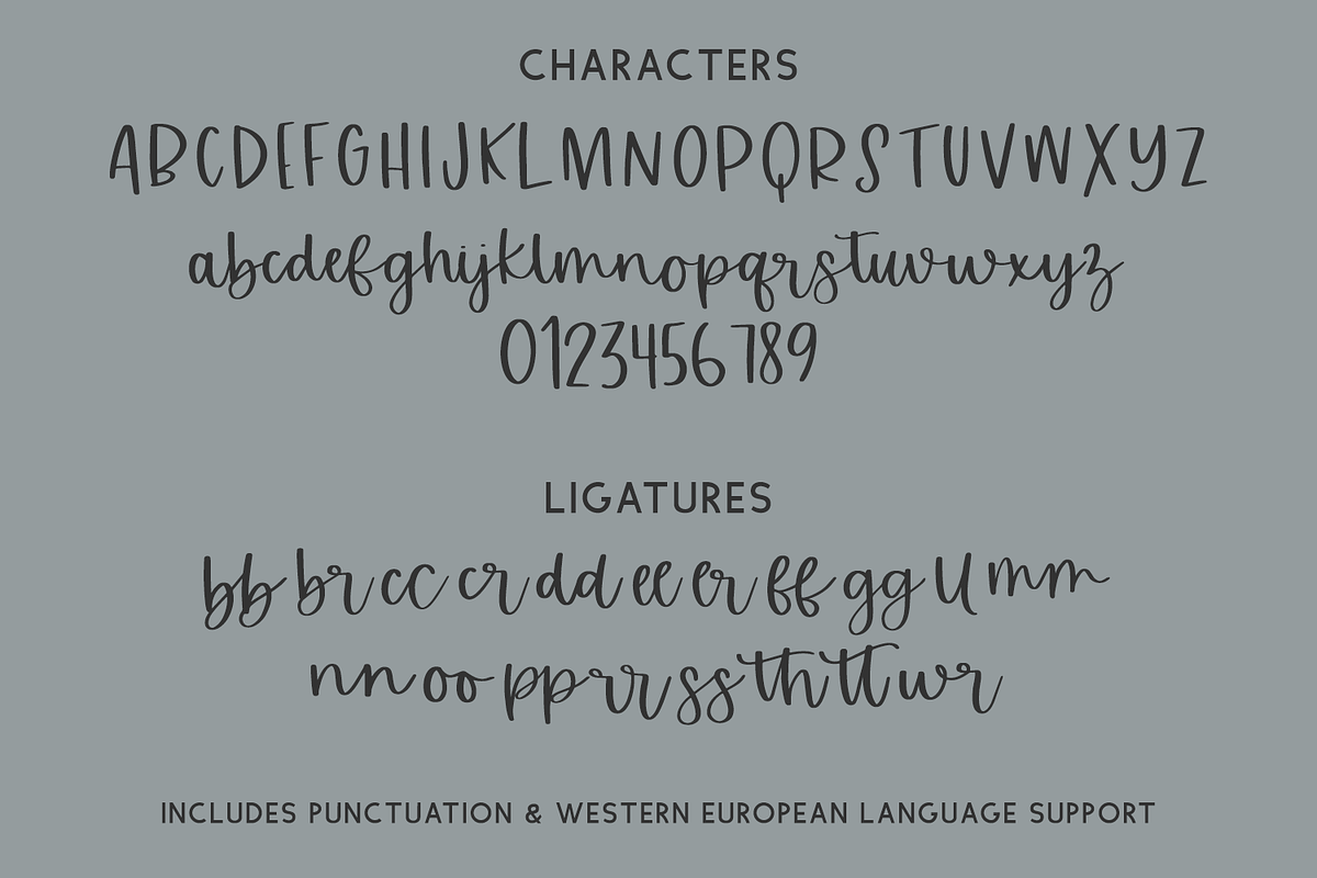 Actually Maybe Script, a Script Font by Beck McCormick (Photo 10 of 11)