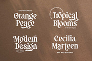 Manshera Romika - Modern Vintage, a Serif Font by Arterfak Project (Thumbnail 10 of 15)