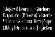 TA Regresso Text, a Serif Font by TAFT Foundry (Thumbnail 6 of 21)