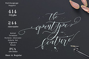 Be Grateful Script, a Script Font by Dirtyline Studio (Thumbnail 3 of 11)