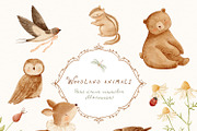 Charming meadow - woodland clipart, a Decorative Illustration by polikarpovaart (Thumbnail 6 of 30)