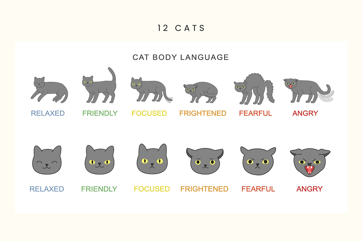 Cat Emotions & Body Language Clipart, an Animal Illustration by Kristina Chistiakova (Photo 2 of 4)