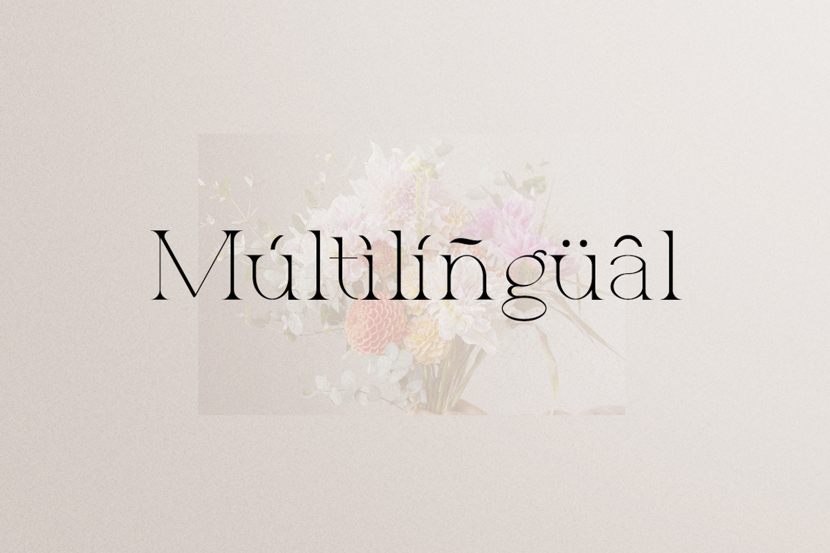 Allegrand - Elegant Serif Font, a Font by RockboyStd (Photo 9 of 12)