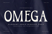 Omega – Serif Display Font, a Serif Font by Almeera Std (Thumbnail 1 of 10)