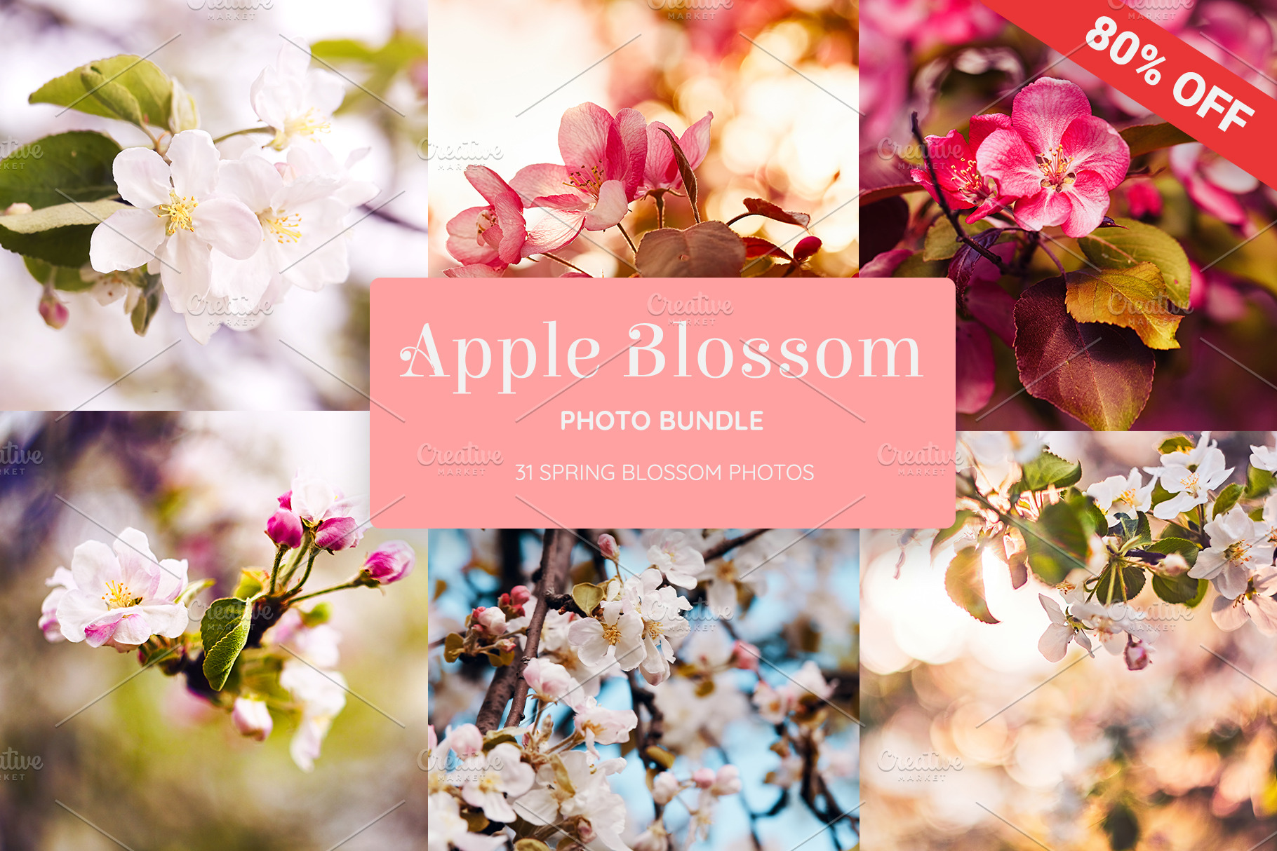 Apple Blossom Photo Bundle, a Nature Photo by ArtChamomile