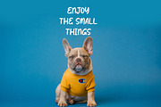 BLOMTAO Brush Font, a Handwritten Font by NTC Graphic (Thumbnail 3 of 8)