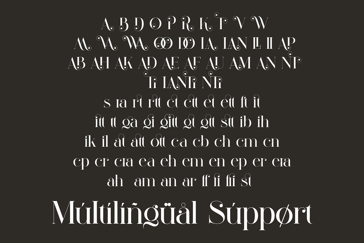 Braliga Elegant Ligature Serif, a Serif Font by Alfinart (Photo 11 of 11)