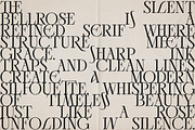 Bellrose Display Serif Font, a Serif Font by CarmineType (Thumbnail 13 of 24)