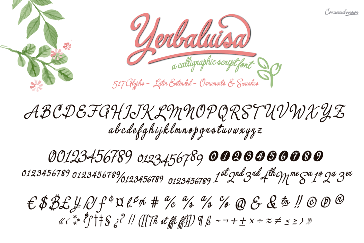Yerbaluisa, calligraphic font preview 2