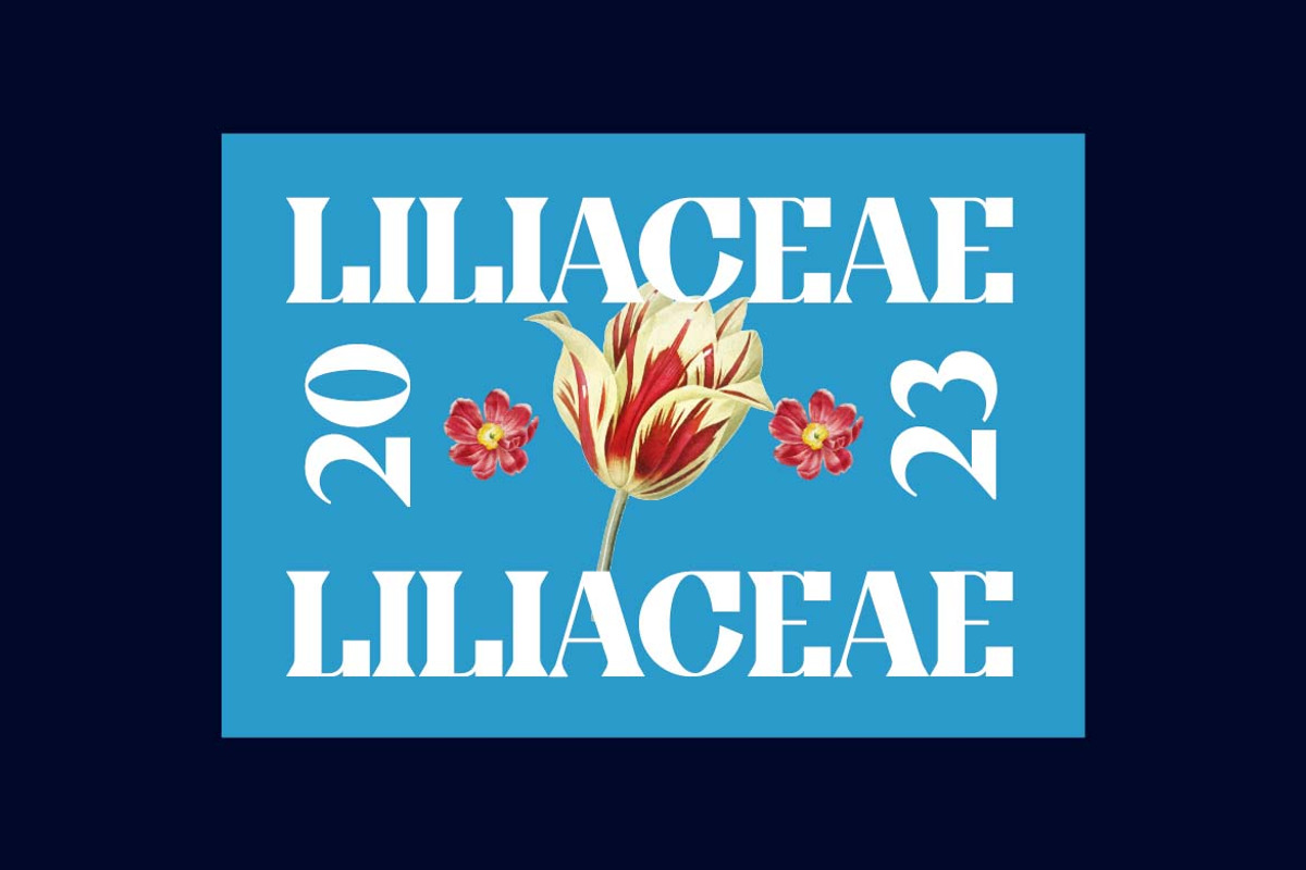 Obligately Old Display Serif Font, a Serif Font by UICreative (Photo 4 of 13)
