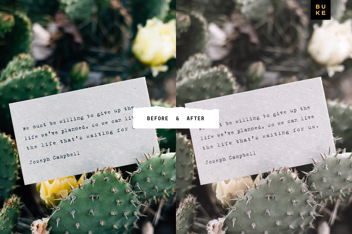 Le Natures Neutral Lightroom Presets, a Preset Add-On by SHOOM HOUSE (Photo 5 of 7)