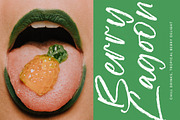 Kinetic Anthem Modern Handbrush Font, a Script Font by stylishtype.co (Thumbnail 8 of 20)