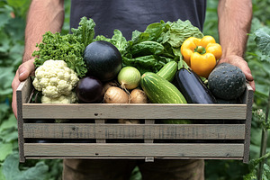 Farmer's hands holding crate full of different ripe vegetables, a Food & Drink Photo by AlyaAnd