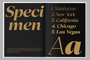 Scaver Font, a Serif Font by Glyphminds Studios (Thumbnail 7 of 10)