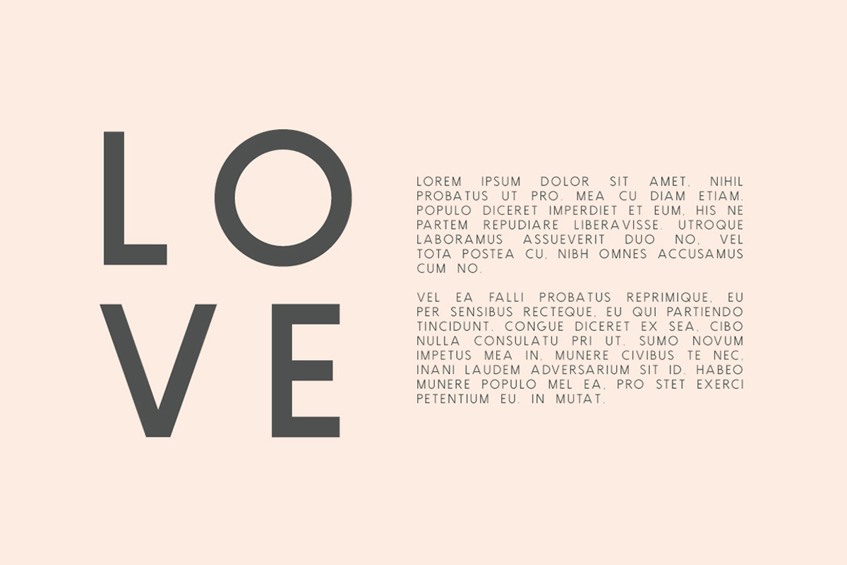 Brooklyn | Two Weight Font Family, a Sans Serif Font by Jen Wagner Co (Photo 6 of 8)