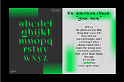 ELGISTA, a Serif Font by Bagerich Type Foundry (Thumbnail 4 of 13)