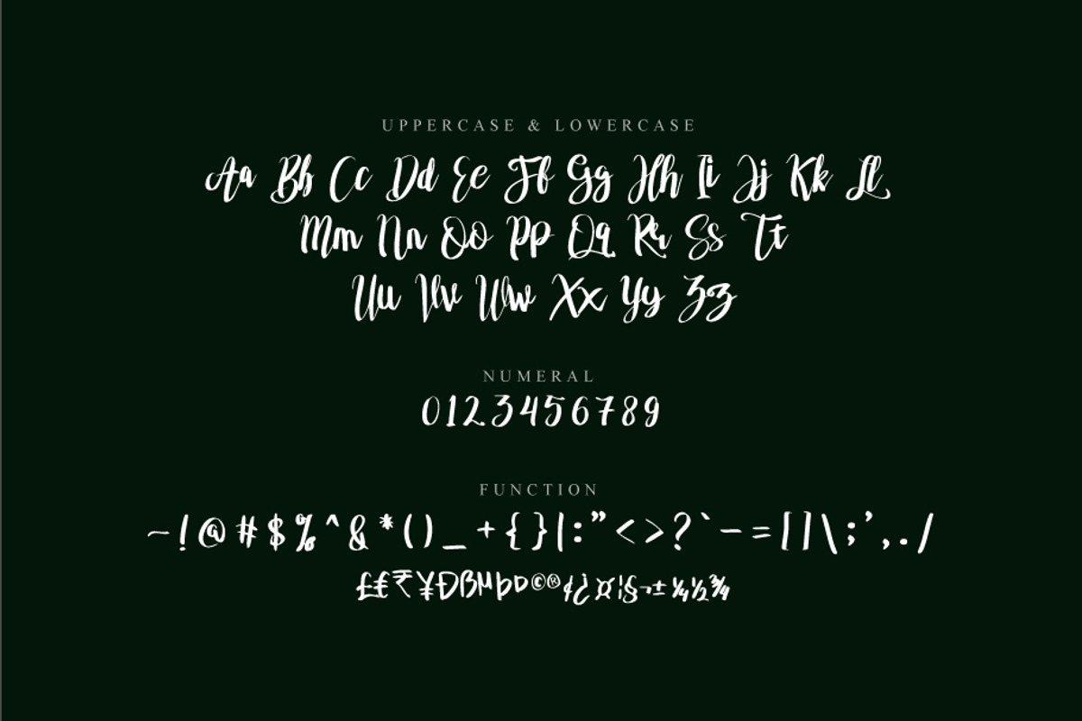 asgiho, a Script Font by khalwa.studio (Photo 2 of 9)