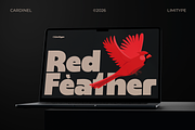 Cardinel - Bold Font, a Sans Serif Font by limitype (Thumbnail 7 of 13)