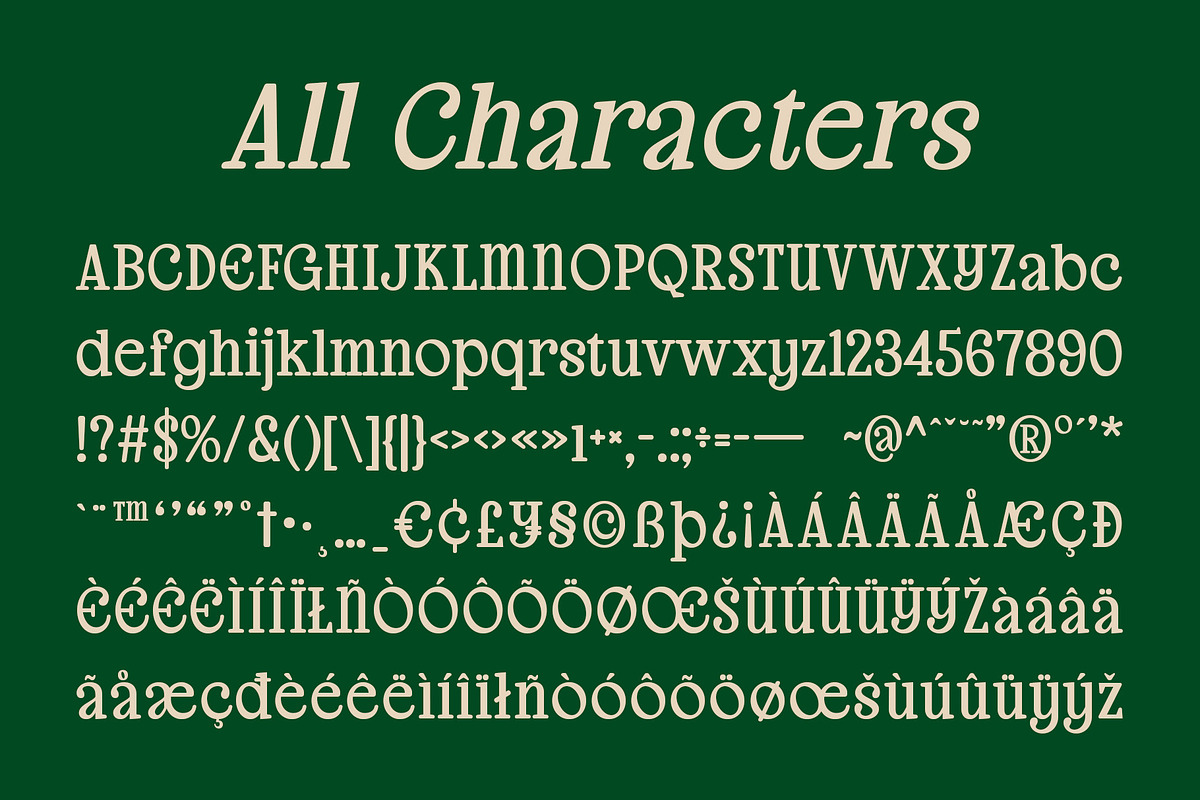 CS Eloise – Aesthetic Font, a Serif Font by Craft Supply Co. (Photo 8 of 8)