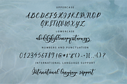 Floral Boutique Calligraphy Font, a Script Font by theinkaffair (Thumbnail 7 of 7)
