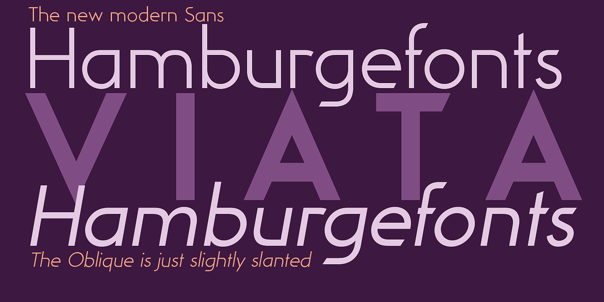 Viata, a Sans Serif Font by Wiescher-Design (Photo 2 of 6)