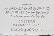 Hamlin Emilia Font, a Script Font by Timurtype (Thumbnail 6 of 7)